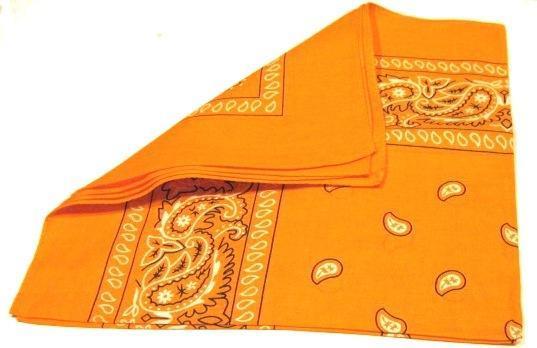 Paisley Bandana flertal färger - Hiprock