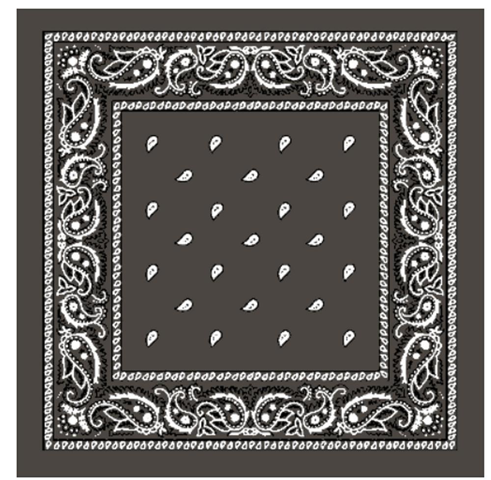 Paisley Bandana flertal färger