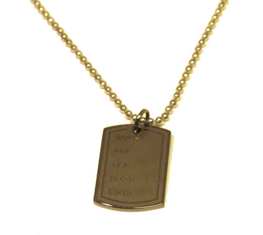 Dog Tag halsband silverfärgad